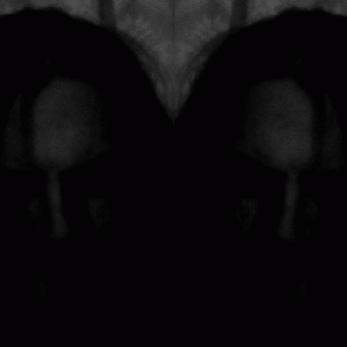 Nattesorg : Perfect Sacrifice